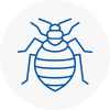 Bed Bug Extermination In Hayes