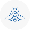 Bee Nest Removal Hayes