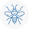 Hayes Hornet Nest Removals