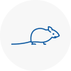 Mice Exterminators In Hayes