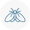 Moth Control Specialists In Hayes