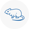 Rat Control Hayes