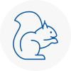 Hayes Rodent Removals