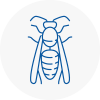 Hayes Wasp Nest Removal